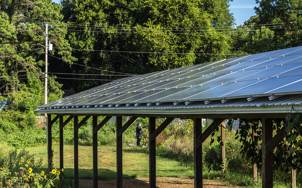 Angled shot of a solar array installed at a family-owned farm in Columbia, South Carolina.